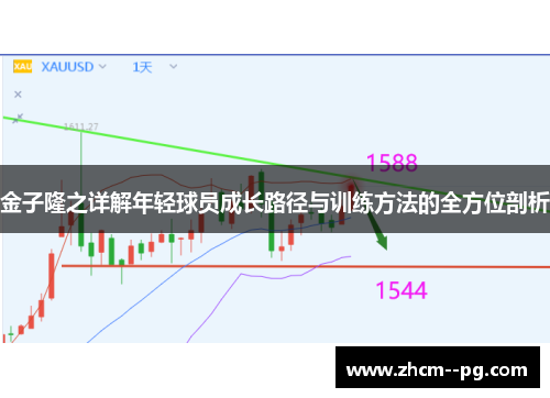 金子隆之详解年轻球员成长路径与训练方法的全方位剖析 金子隆之详解年轻球员成长路径与训练方法的全方位剖析