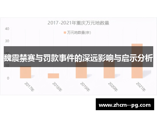 魏震禁赛与罚款事件的深远影响与启示分析