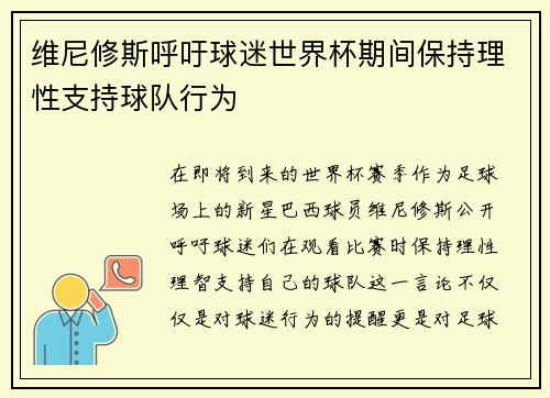 维尼修斯呼吁球迷世界杯期间保持理性支持球队行为